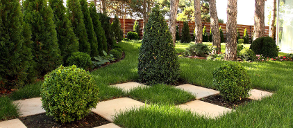 ld2 Landscaping 2 Landscaping services and plant care
