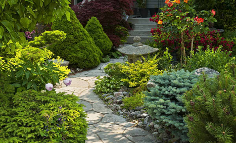 ld3-1 Landscaping 3 Landscaping services and plant care