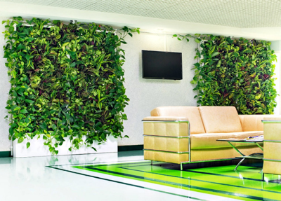 vz1 Interior landscaping (floristics) 1 Landscaping services and plant care