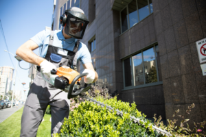 Головна 144