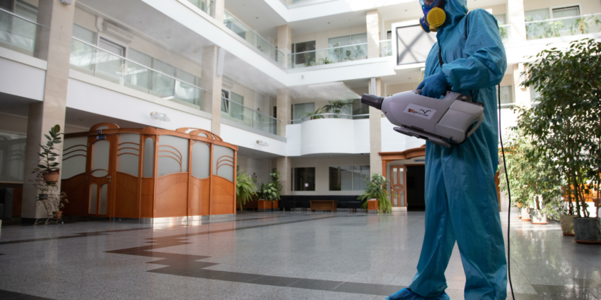 How not to lose premises in an unequal battle with pests? 10