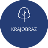 Strona Główna 25 Strona Główna 24