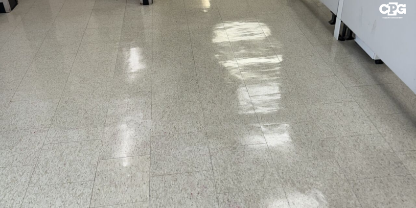 ПОЛІМЕРНЕ ПОКРИТТЯ ПІДЛОГ – ЧОМУ ТАКА ПОПУЛЯРНІСТЬ В США? 1